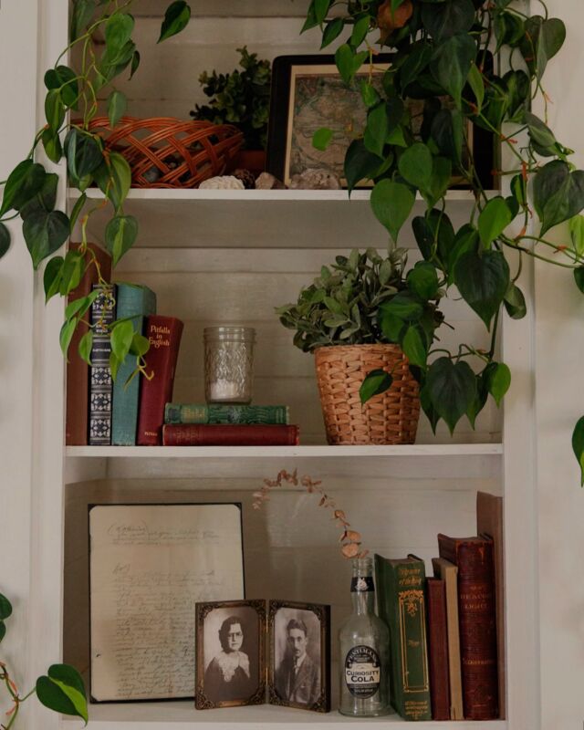Almost every nook and cranny of our home is filled with sentimental pieces. I’m the daughter, granddaughter, and niece that will gladly take items the family may otherwise get rid of or have tucked away in closets for decades, untouched. The kind of traveler that looks for leaves and shells and rocks to keep in my pockets and carry with me, so I can always hold a piece of where I’ve been. Usually, I have no idea where these things may come to live in my own home, but they always manage to find their perfect places in time.

These shelves alone hold a basket full of stones and shells from around the world, framed high school love letters my grandpa wrote to my grandma in the 1940s, an assortment of found and inherited books, some well more than a century old, and sweet portraits of my great grandparents. 

While I strive to avoid clutter, I do love filling every room with as many meaningful pieces as I can. Because while many things are just things, some are so much more. 🤍

#interiordesign #heirlooms #shelfdecor #shelfstyling